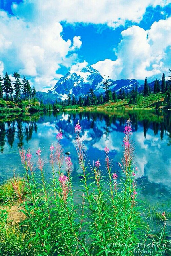 Positive thinking (@sandeep40035485) on Twitter photo 