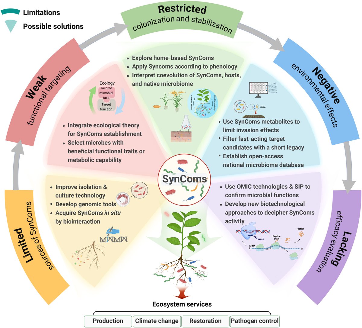 ManuDelgadoBaquerizo (@manudelbaq) on Twitter photo New <a href="/NewPhyt/">New Phytologist</a> in <a href="/BioFunLab/">BioFunLab</a>
Integrating ecological and evolutionary frameworks for SynCom success
nph.onlinelibrary.wiley.com/doi/full/10.11…
<a href="/PankajTri29/">PANKAJ TRIVEDI</a> <a href="/Prof_Braj_Singh/">Prof Brajesh Singh</a> <a href="/MiriMunozRojas/">Miriam Muñoz Rojas</a> <a href="/FelipeBastida01/">Felipe Bastida</a> <a href="/YurongLiu120082/">Yurong Liu</a> <a href="/TadeoSaez/">Tadeo Saez</a> <a href="/ClaudiaColeine/">Claudia Coleine</a>
<a href="/IRNAS_CSIC/">IRNAS Sevilla</a> <a href="/CSIC/">CSIC</a> New <a href="/NewPhyt/">New Phytologist</a> in <a href="/BioFunLab/">BioFunLab</a>
Integrating ecological and evolutionary frameworks for SynCom success
nph.onlinelibrary.wiley.com/doi/full/10.11…
<a href="/PankajTri29/">PANKAJ TRIVEDI</a> <a href="/Prof_Braj_Singh/">Prof Brajesh Singh</a> <a href="/MiriMunozRojas/">Miriam Muñoz Rojas</a> <a href="/FelipeBastida01/">Felipe Bastida</a> <a href="/YurongLiu120082/">Yurong Liu</a> <a href="/TadeoSaez/">Tadeo Saez</a> <a href="/ClaudiaColeine/">Claudia Coleine</a>
<a href="/IRNAS_CSIC/">IRNAS Sevilla</a> <a href="/CSIC/">CSIC</a>