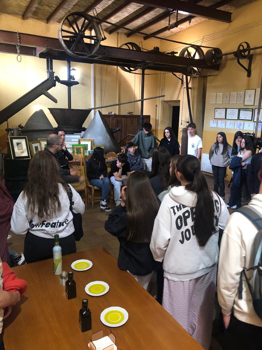 Y último día del viaje Científico Tecnológico: en 4 ESO: ciudad de la Ciencias de Granada, almazara de Tabernas, snorkel y plataforma solar de Tabernas. Objetivo cumplido. Buen viaje de vuelta
