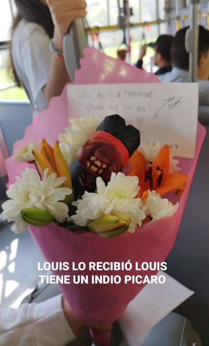 Louis en Chile tweet media