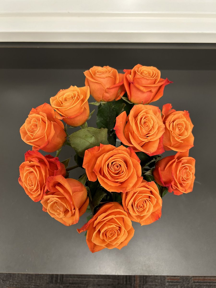 Alvin HS Library tweet media