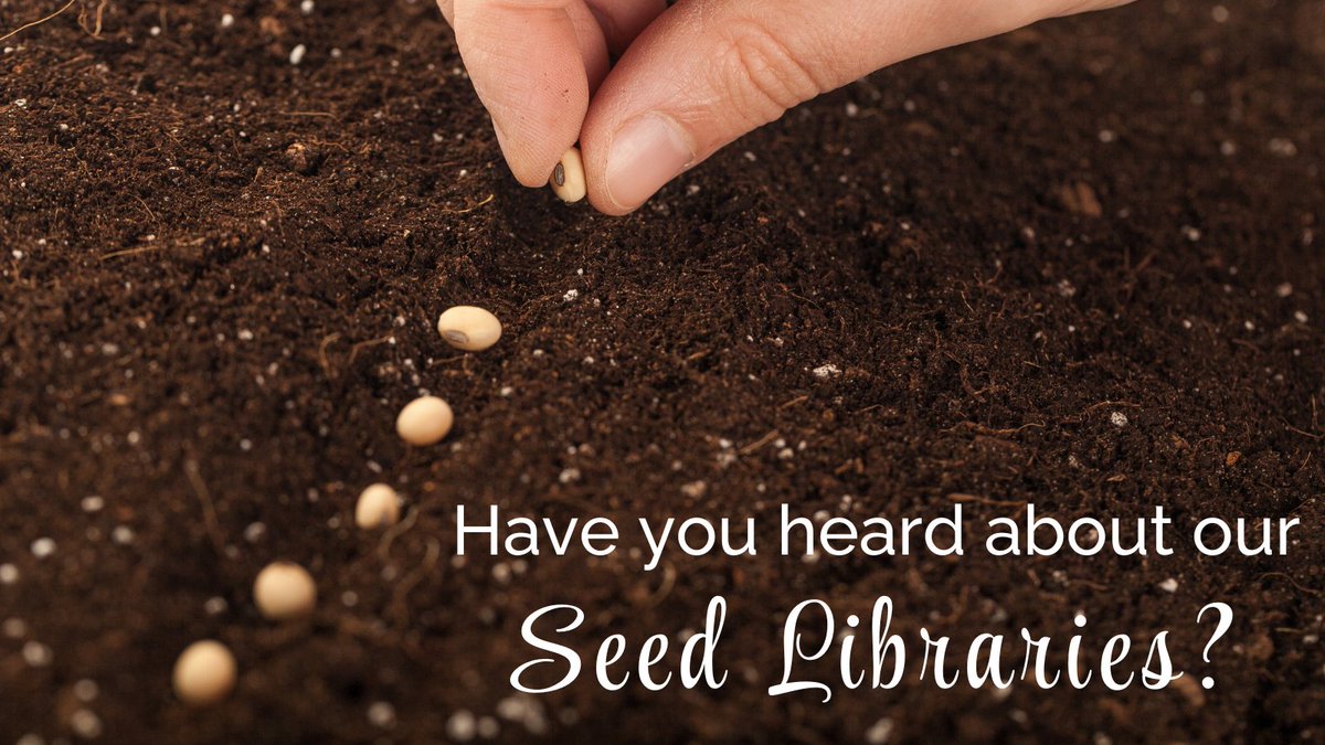 delcolibraries's tweet image. Grow your own garden with help from the library! Seed libraries offer a variety of free seeds —perfect for gardeners of all experience levels. To see how it works and which of our libraries currently have Seed Libraries: delcolibraries.org/seed-libraries

#MoreThanJustBooks
#SeedLibraries