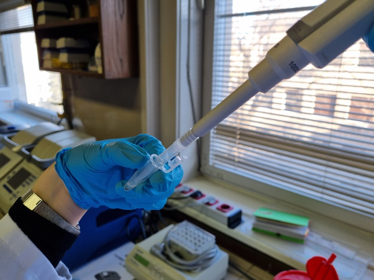 DinDRY Croatian Science Fundation project tweet media