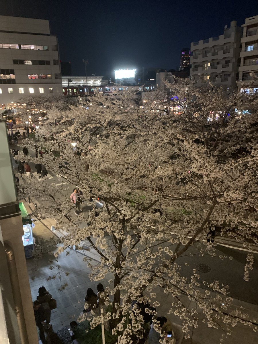 MaSakun0709's tweet photo. 桜が咲き誇る🌸
中目黒は満開に近くなってます☺️

＃中目黒さくらマップ ＃桜情報 https://t.co/pl3axvcrKE
