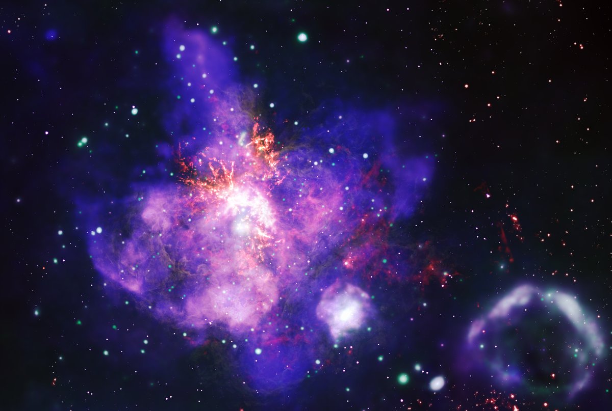 Space Telescope Science Institute (@spacetelescope) on Twitter photo Hubble data was combined with <a href="/chandraxray/">Chandra Observatory</a>, Spitzer, and <a href="/almaobs/">ALMA Observatory📡</a> data for this composite image of 30 Doradus, seen in X-ray, visible, infrared, and radio. The massive young stars in 30 Doradus send strong winds out into space. Credit: NASA/CXC/JPL /ESO/NAOJ/NRAO/ALMA. Hubble data was combined with <a href="/chandraxray/">Chandra Observatory</a>, Spitzer, and <a href="/almaobs/">ALMA Observatory📡</a> data for this composite image of 30 Doradus, seen in X-ray, visible, infrared, and radio. The massive young stars in 30 Doradus send strong winds out into space. Credit: NASA/CXC/JPL /ESO/NAOJ/NRAO/ALMA.