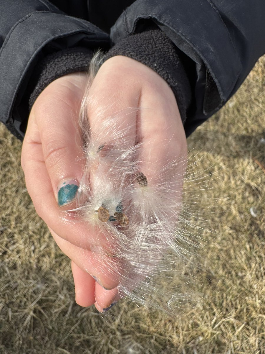 Mara Drill tweet media