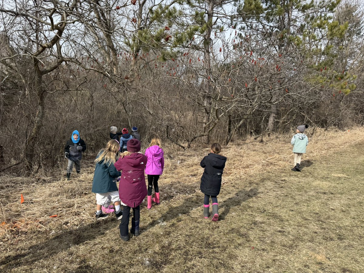 Mara Drill tweet media