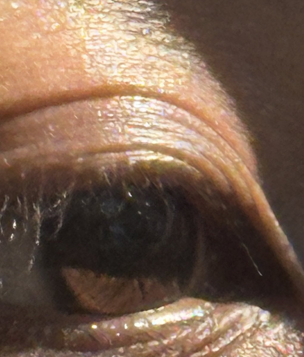 bettercallsaldi's tweet photo. That beauty brown eyes, i miss https://t.co/DyVrndgE7P