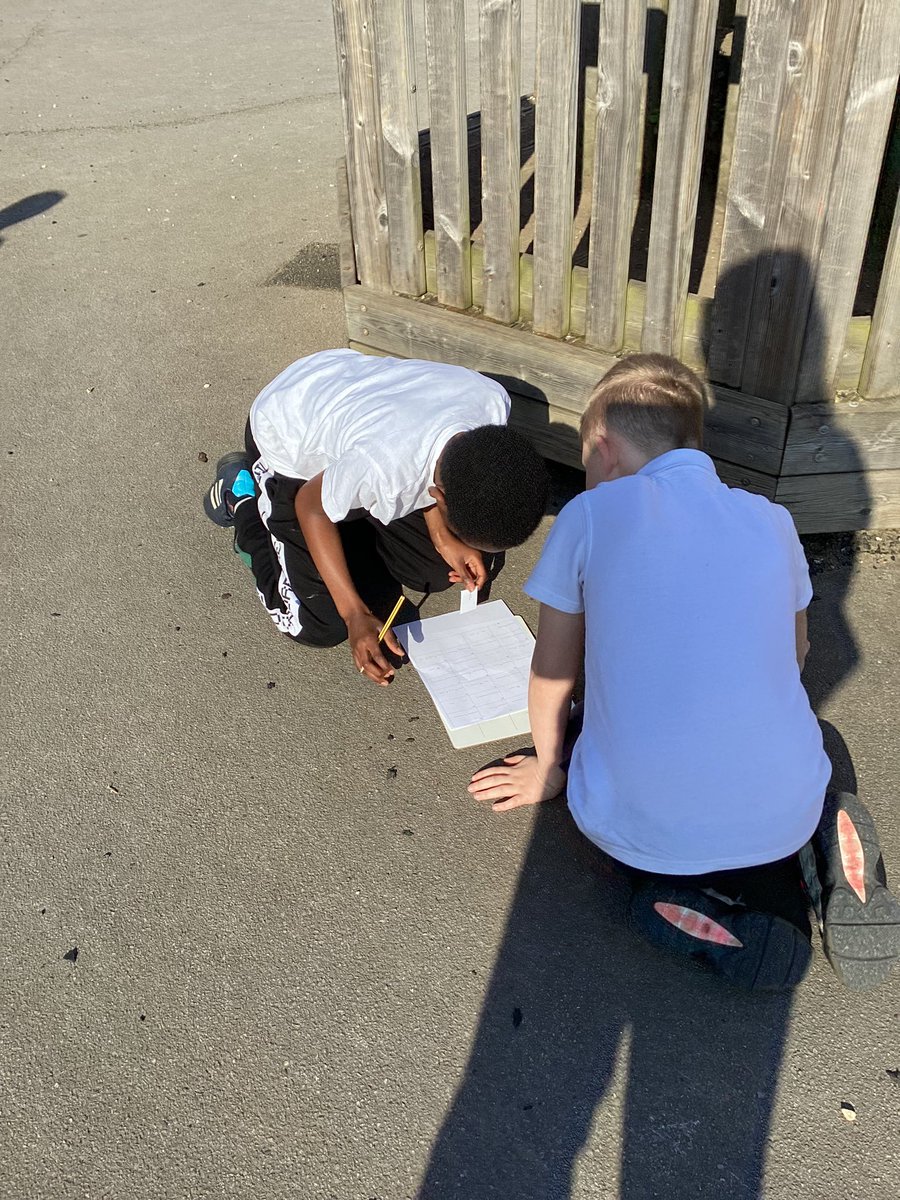 Tang Hall Owls tweet media