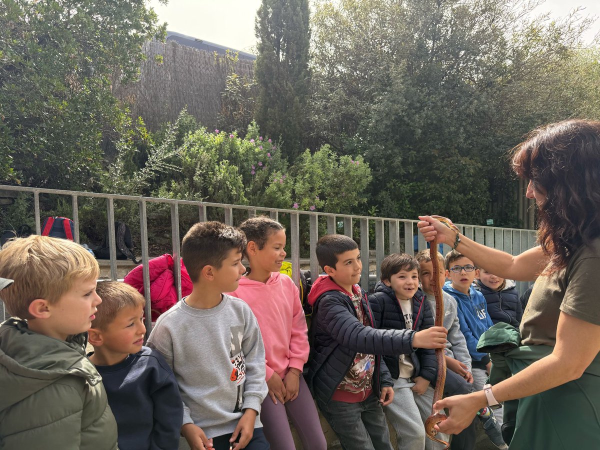 PRIMÀRIA | L’alumnat de 2n hem visitat el <a href="/CRARC_Masquefa/">CRARC</a>🦎🐊🐍🐢🐸
Per posar fi al Neuroambient “Descobrim el CRARC”, hem vist de primera mà com cuiden els animals, i totes les característiques que hem vist a l’aula, les hem pogut comprovar de ben a prop. Ha estat genial! 🔝✨