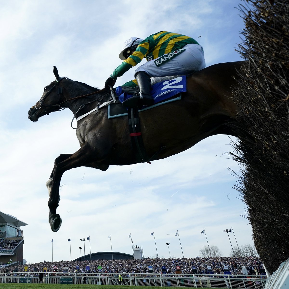 AtTheRaces's tweet image. Jonbon's record outside of Cheltenham:

11/1111/11111/1111-1111.