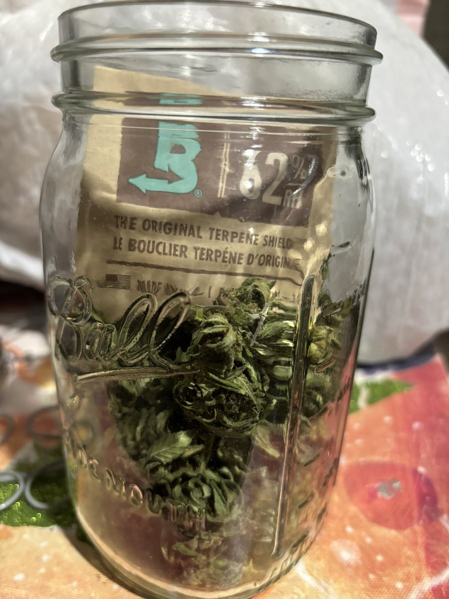 WeedVet's tweet image. …do you Boveda? 

Keep that stash fresh folks… 
@BovedaCannabis @TheCVault