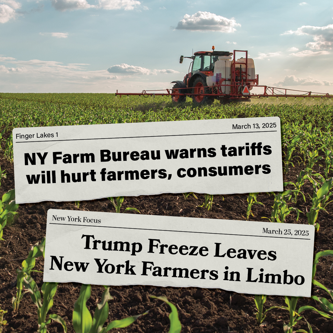 NY Assembly Majority tweet media