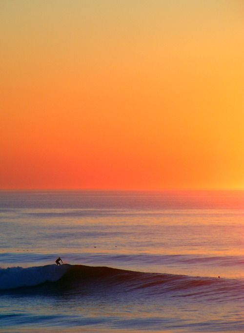 AlpacaAurelius's tweet photo. sunsets are mental and physical therapy

sunsets are full of extremely healing infrared light that lowers inflammation, boosts mitochondrial function, improves collagen synthesis and sets your circadian rhythm so you sleep better at night.

watch the sunset daily https://t.co/uVVQqSfHon