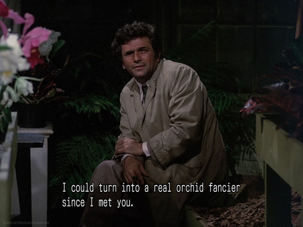 columbo screenshots tweet media