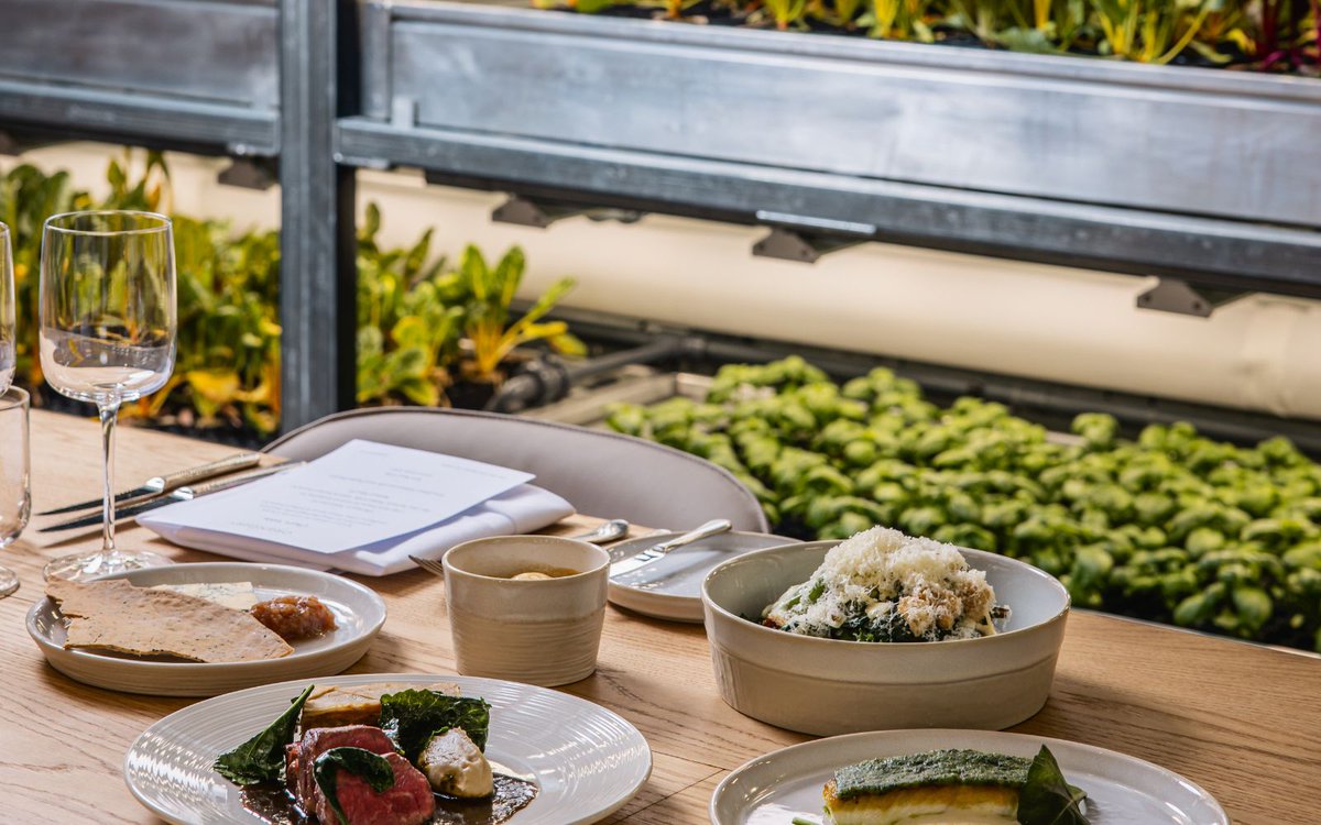 A restaurant with London's largest on-site hydroponic farm has opened on Tottenham Court Road ow.ly/m5GQ50VuFkH