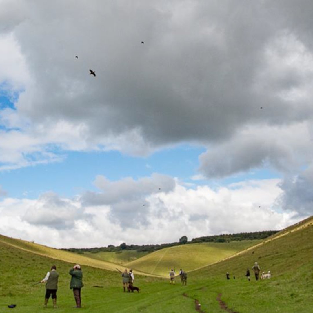 Sunshine, sport, and a cracking weekend ahead ☀️🏇 With the Grand National upon us and blue skies in the forecast, it's all set to be a good one.

📸 A couple of sunny bangers from @purdey.sportingagency #GunsOnPegs #GrandNationalWeekend #PurdeySporting #SunnyDays