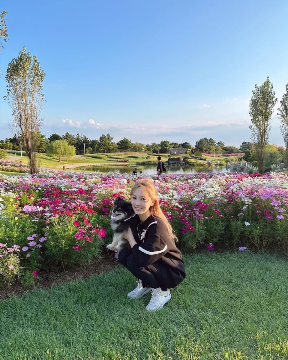 素敵な一日でした✨☀️🌳‌💖❤️ お散歩→カフェ💓 ラブと私が大好きな公園へ😘 ラブは老犬なので、この日は可愛いフリルを着ていました🥰💖 韓国で買ったお土産の中にラブ用の可愛 いフリルアイテムがあったので、それを着て早速お出かけしました🐶❤️