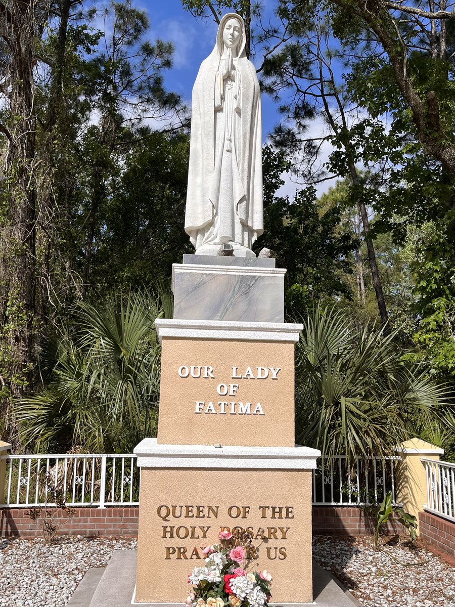 Sandy J.K. 🙏🏻🇻🇦 tweet media