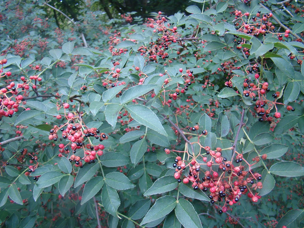 Our April newsletter is out now, featuring:

🌱Details of our April Fair at the Old Rectory, Quenington
🌱3 fantastic features by Potterton's Nursery, Long Acre Plants &amp; Jurassicplants Nurseries (all RHS Gold Medallists)
🌱Advance news of our May Fairs

mailchi.mp/rareplantfair/…