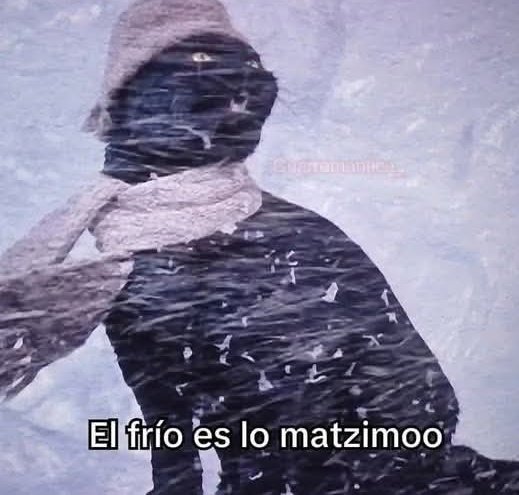 minitadelmate's tweet image. confirmen