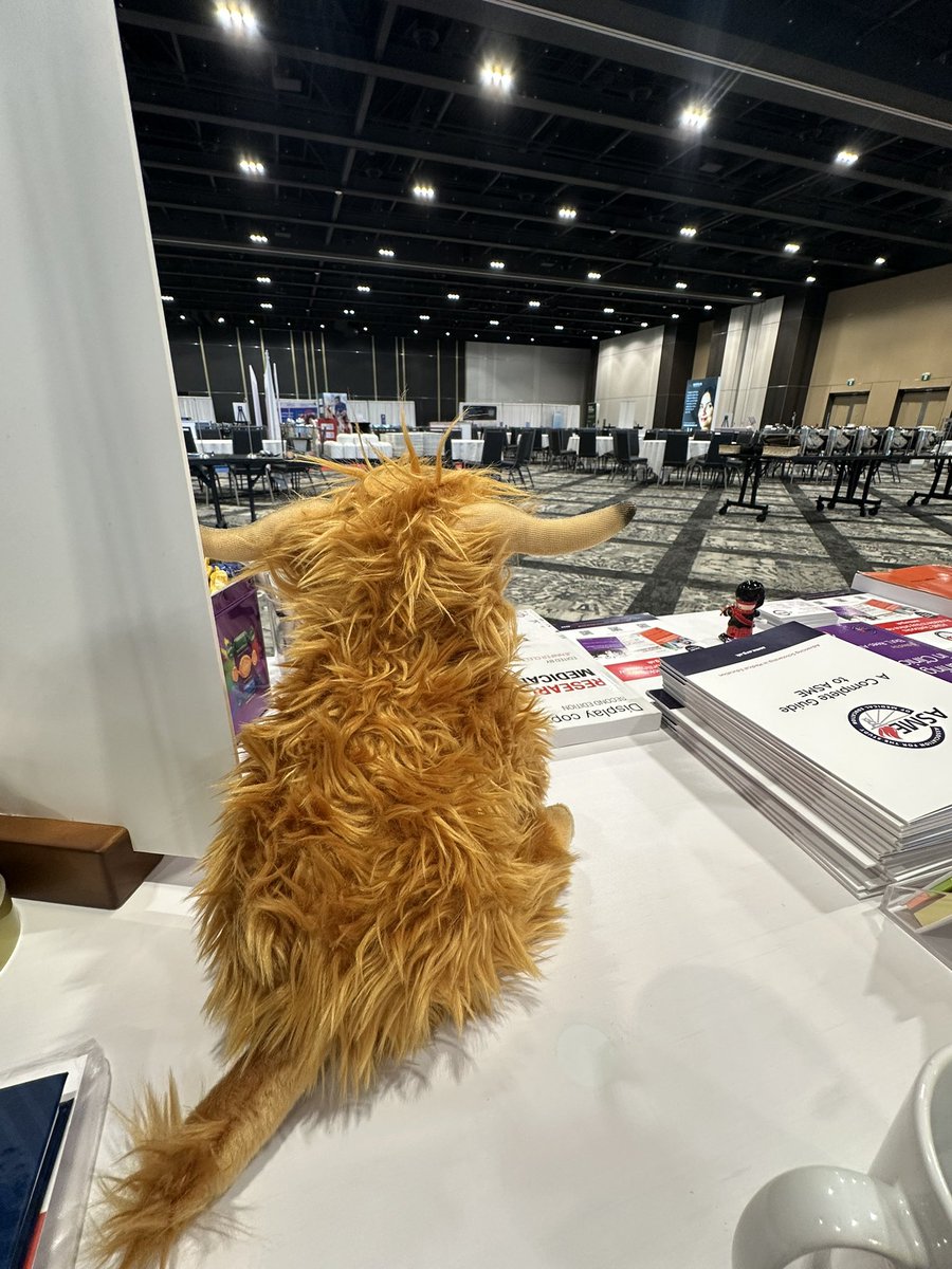 Prof. Gabrielle Finn (@gabs_finn) on Twitter photo If you are at #icam2025, please drop my the <a href="/asmeofficial/">Association for the Study of Medical Education</a> booth. Hamish the highland cow is ready to meet you If you are at #icam2025, please drop my the <a href="/asmeofficial/">Association for the Study of Medical Education</a> booth. Hamish the highland cow is ready to meet you