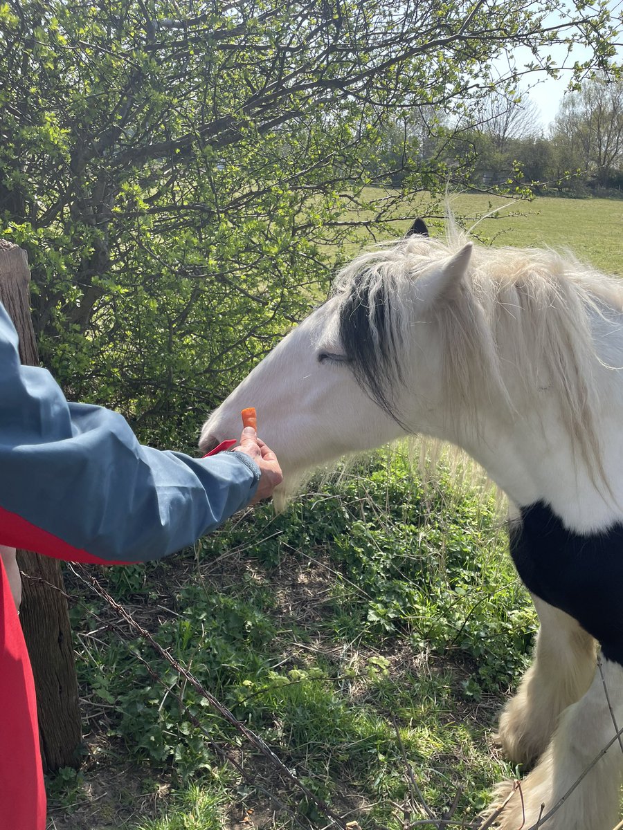 A week of sunshine ☀️ walking groups, picnics in the park, ice creams and end of week reflection group, a productive and therapeutic activity filled week on Bridge Ward 🤩 <a href="/EveBriers/">Eve Briers</a> <a href="/Mersey_Care/">Mersey Care NHS FT 🏳️‍🌈</a> <a href="/CMcDon_/">Dena Mc 💙</a> <a href="/zoelizprince/">Zoe Prince RMN</a> <a href="/OT_EmmaB/">OT Emma</a> <a href="/satdxo/">Shannon Axon</a> <a href="/DrGeorgiaKonsta/">Georgia Konstantinou</a> <a href="/NandaDayalan/">Nanda Dayalan</a>