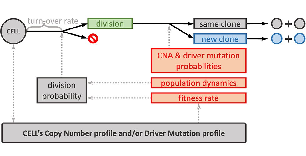 Columbia - Irving Institute for Cancer Dynamics (@cancer_dynamics) on Twitter photo Khanh N. Dinh (<a href="/khanh_n_dinh/">Khanh N. Dinh</a> ) and team introduce CINner, a groundbreaking computational framework in <a href="/PLOSCompBiol/">PLOS Comp Biol</a>, shedding new light on chromosomal instability in cancer. Read here bit.ly/4lej635 🔬🧬 #CancerResearch #CINner #ComputationalBiology cc:<a href="/columbiacancer/">Herbert Irving Comprehensive Cancer Center</a> Khanh N. Dinh (<a href="/khanh_n_dinh/">Khanh N. Dinh</a> ) and team introduce CINner, a groundbreaking computational framework in <a href="/PLOSCompBiol/">PLOS Comp Biol</a>, shedding new light on chromosomal instability in cancer. Read here bit.ly/4lej635 🔬🧬 #CancerResearch #CINner #ComputationalBiology cc:<a href="/columbiacancer/">Herbert Irving Comprehensive Cancer Center</a>