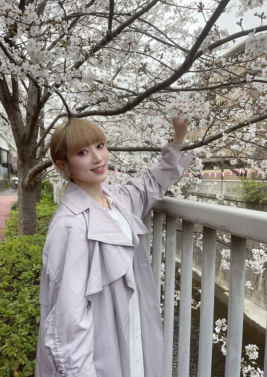 若林春来💜アイドルカレッジ🐈‍⬛ (@ic_haruki) / Posts / X