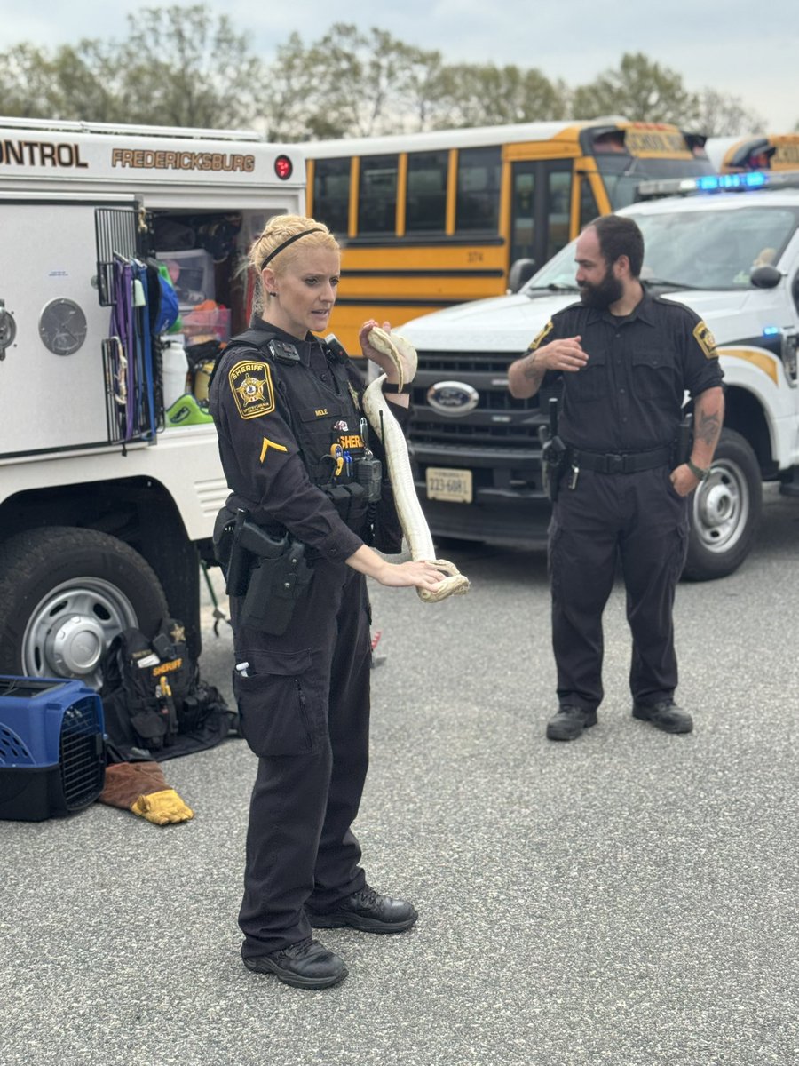 MrsCribb_SCPS's tweet photo. @SpotsySheriff representing at @SpotswoodElem Career Day! Thank you for sharing your career with our students! My students truly enjoyed Animal Control. https://t.co/yVGXdidoBK