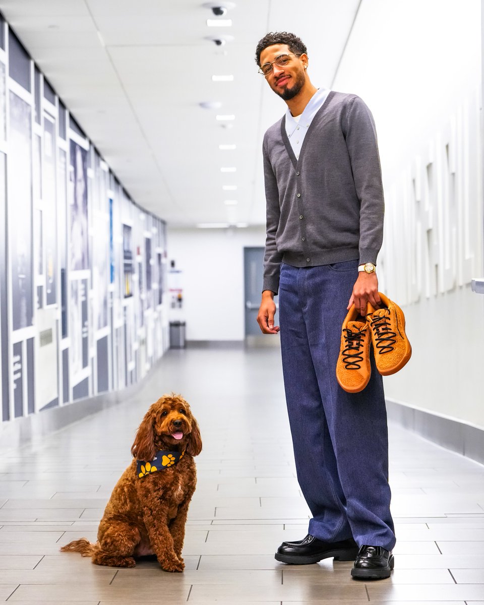 absolutely pawfect 🐶😻

Tyrese Haliburton arrived for tonight's game with his pup, Ames, and is debuting brand new PEs inspired by him 🤎