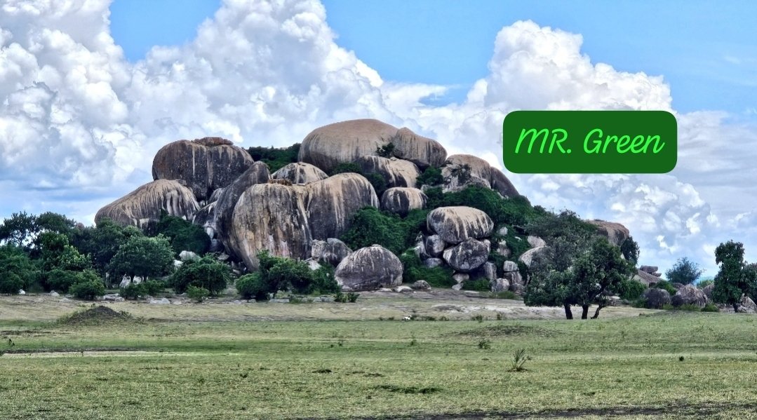 #Malawi
