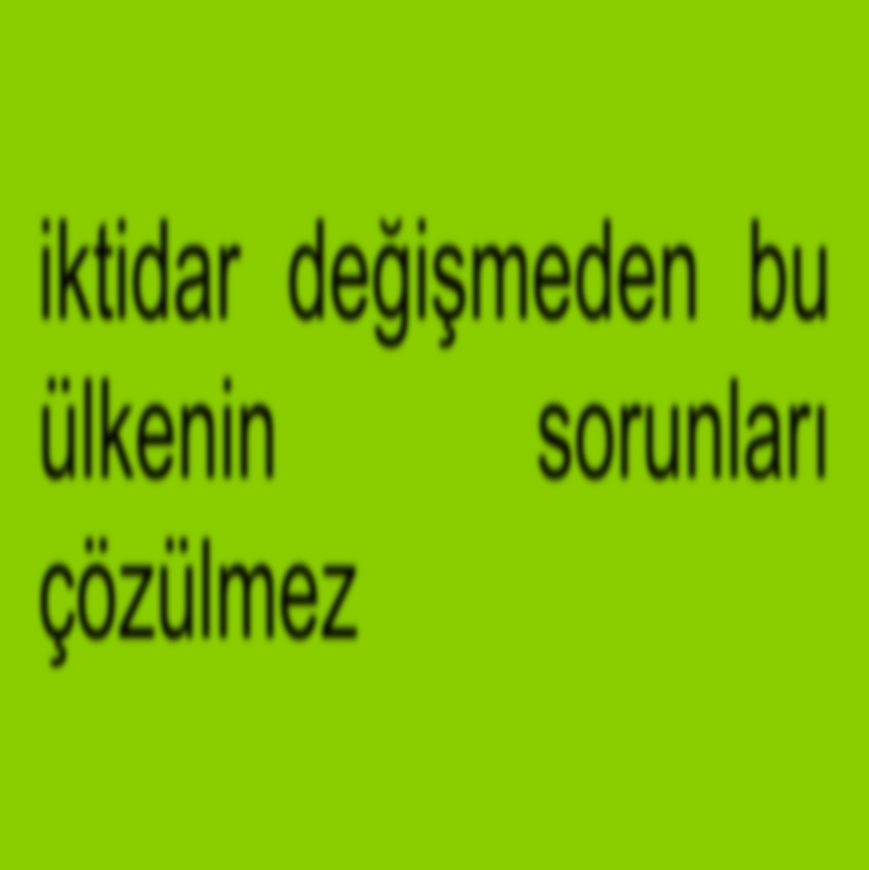 Tolga tweet media