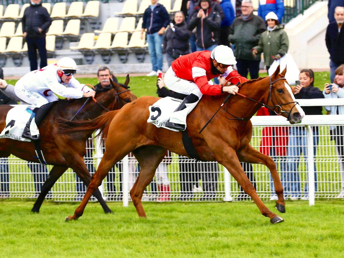 Weatherbys Limited (@weatherbysltd) on Twitter photo Another of this year’s Classic generation is Scorthy Champ <a href="/JosephOBrien2/">Joseph O'Brien</a> who landed the Group 1 Goffs Vincent O'Brien National Stakes <a href="/curraghrace/">The Curragh Racecourse</a> last year.
The son of Mehmas <a href="/HoStud/">Tally-Ho Stud</a> is a full-brother to the dual Group winner Malavath (pic) and Group winner Knight.
He was bred Another of this year’s Classic generation is Scorthy Champ <a href="/JosephOBrien2/">Joseph O'Brien</a> who landed the Group 1 Goffs Vincent O'Brien National Stakes <a href="/curraghrace/">The Curragh Racecourse</a> last year.
The son of Mehmas <a href="/HoStud/">Tally-Ho Stud</a> is a full-brother to the dual Group winner Malavath (pic) and Group winner Knight.
He was bred