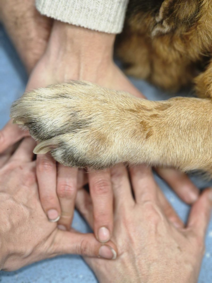 La familia es la unidad básica de la eternidad.
M. Russell Ballard

Que vacío nos dejas sin ti