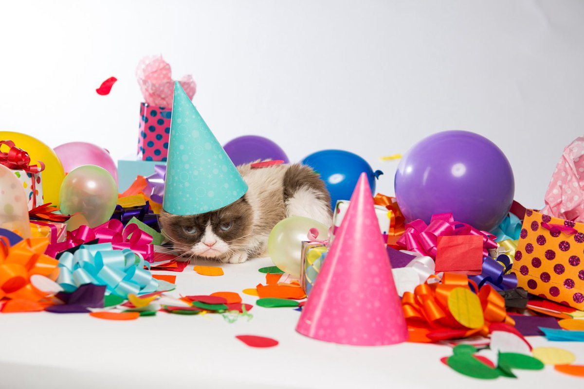 Grumpy Cat (@realgrumpycat) on Twitter photo 