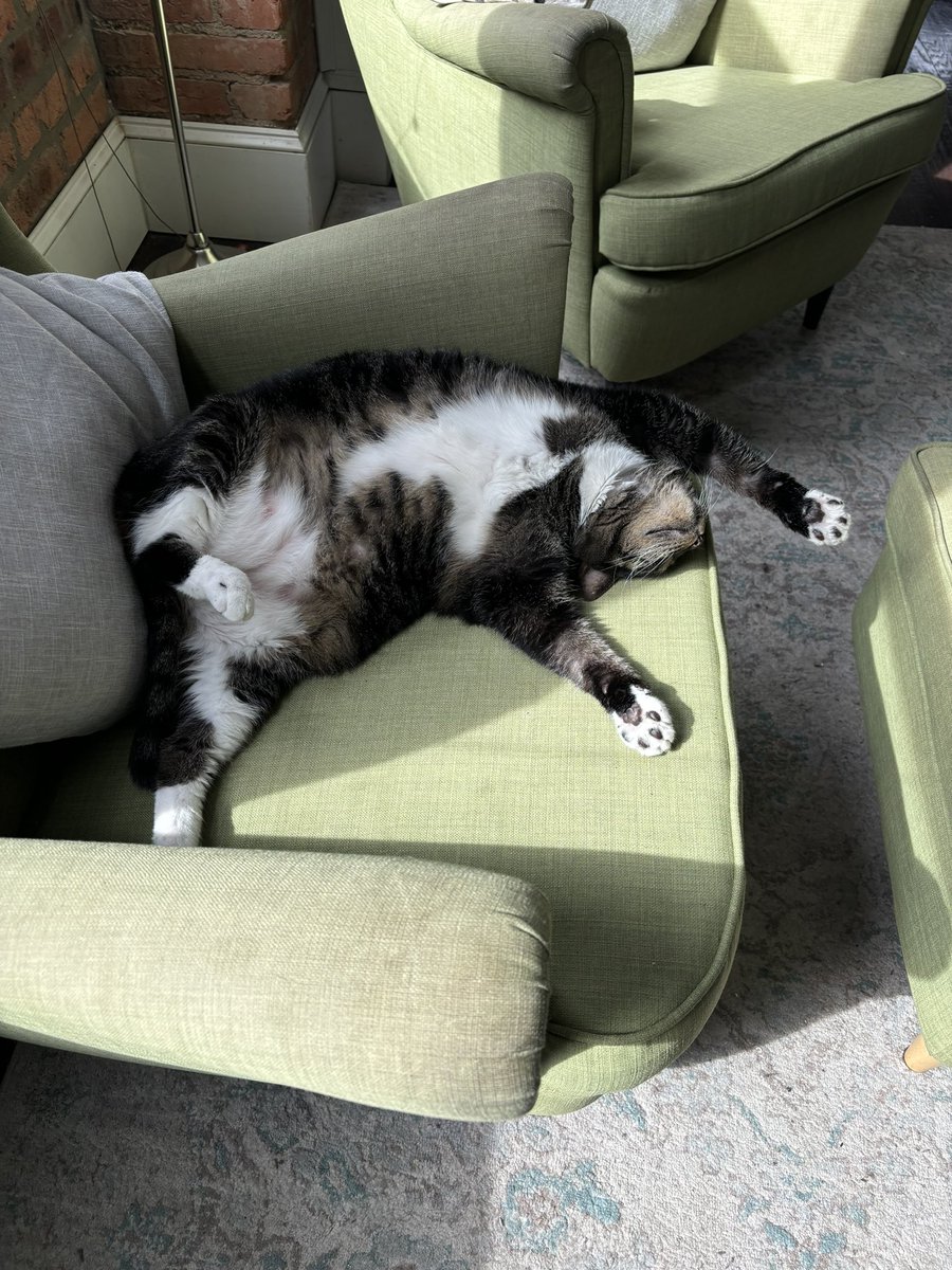 Emily Barnes tweet media