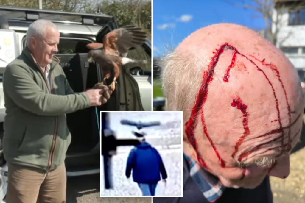 nypost's tweet photo. ‘Hormonal’ hawk terrorizes bald men for weeks in English village — before it’s finally captured https://t.co/uU3XwbG5q8 https://t.co/cCDMmjfY2j