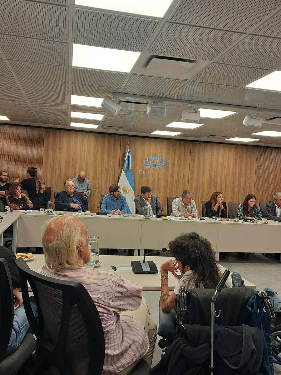 En representación del Ministerio de Trabajo, la directora de Análisis y Promoción del Empleo <a href="/sabriparedessec/">Sabrina Paredes</a> expuso en la Cámara de Diputados en la Nación durante la presentación del Proyecto de Ley de Emergencia en Discapacidad.