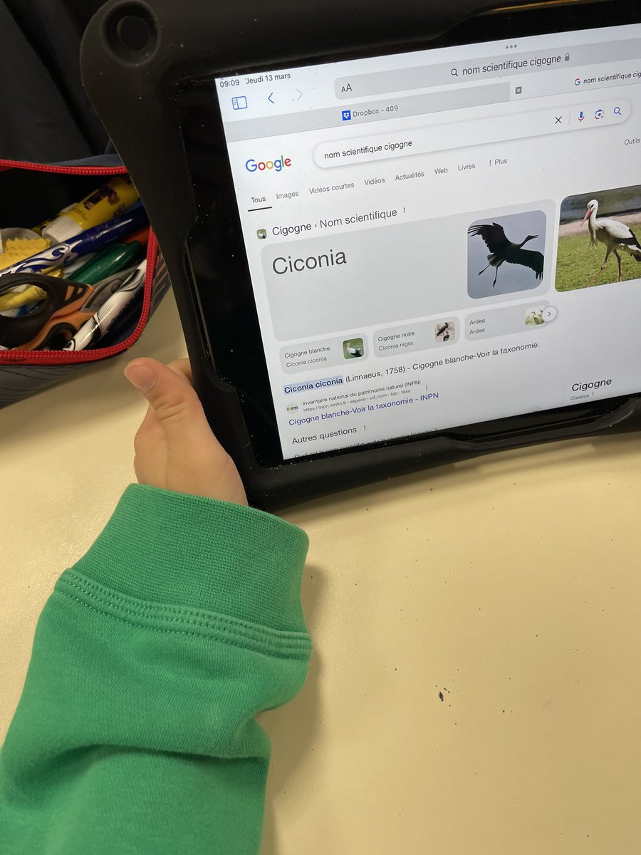 Valérie Coquillard tweet media