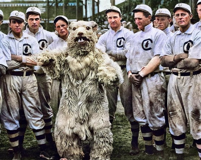 1908 Cubs with their mascot.