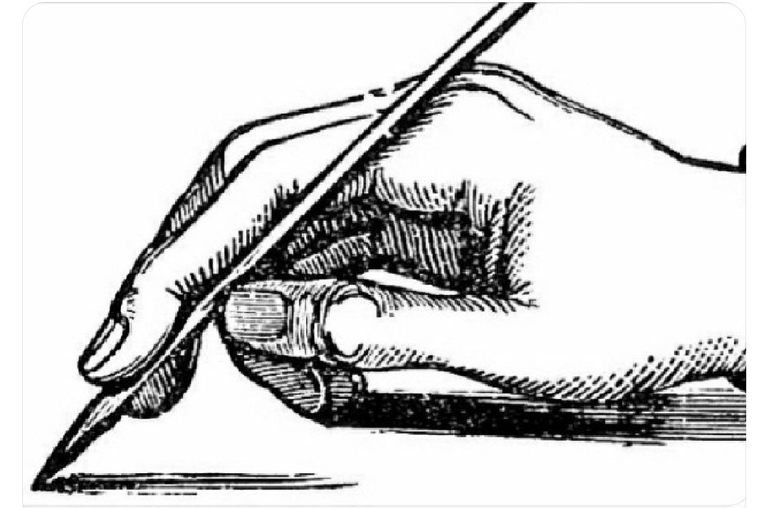 حمد المنيف tweet media