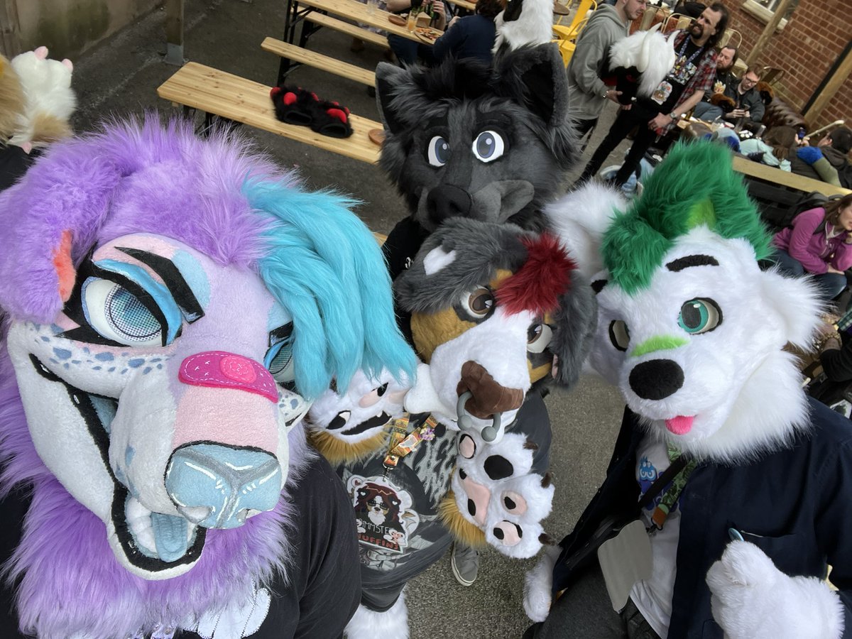♡︎ 𝚍𝚘𝚐𝚐𝚢 ♡︎ 🔜 CFz #1514 (@breadondeck_) on Twitter photo Omg I forgot to add photos from <a href="/SheffieldFurs/">Sheffield Furmeets</a> last weekend! 💖
Met some super sweet people!! 💖 Omg I forgot to add photos from <a href="/SheffieldFurs/">Sheffield Furmeets</a> last weekend! 💖
Met some super sweet people!! 💖