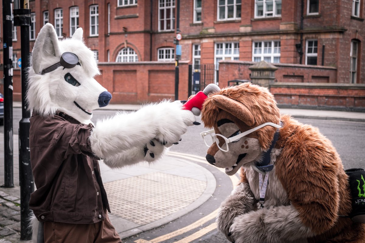 BONK! I'm sorry <a href="/bradleys_shadow/">westernpaws</a>! #FursuitFriday 
✂️- <a href="/GoFurItstudios/">Go Fur It</a>
📷 - <a href="/NotFish6/">NotFish</a>