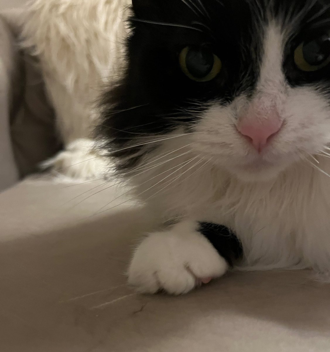 Pişşşt bi gelşene şöş ışırmam