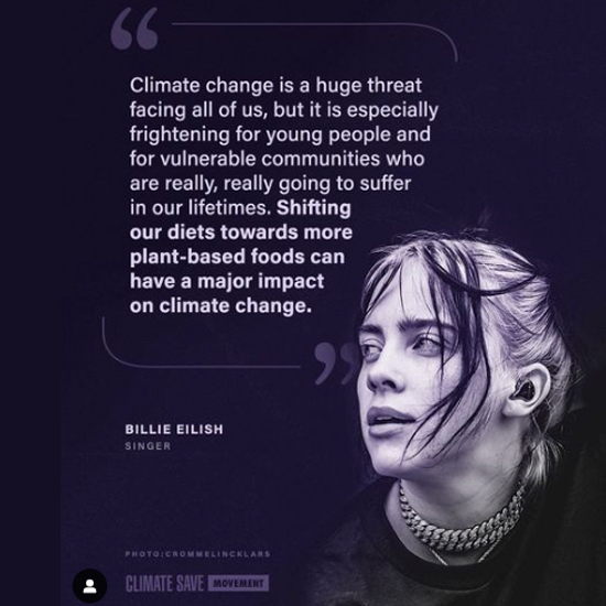 Meat-Free Plate tweet media