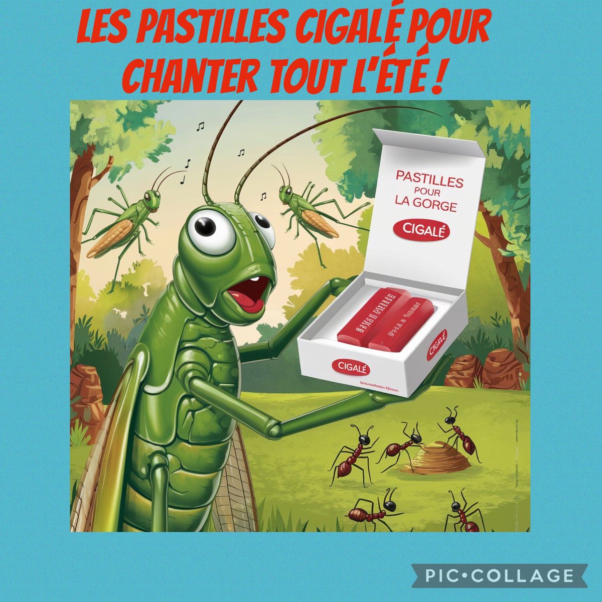 Valérie Coquillard tweet media