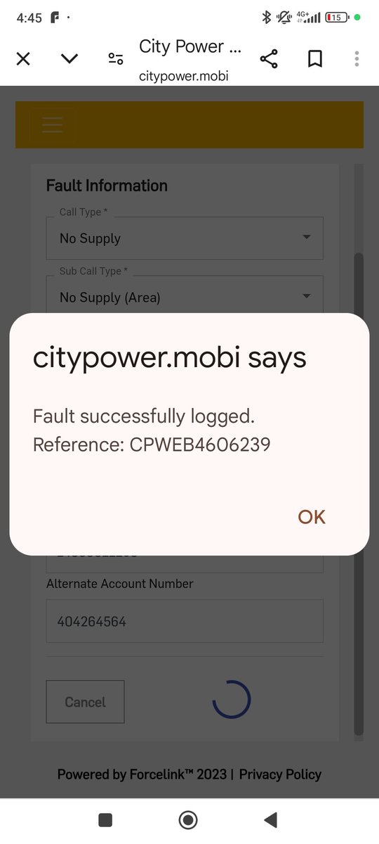 Niki Seberini tweet media