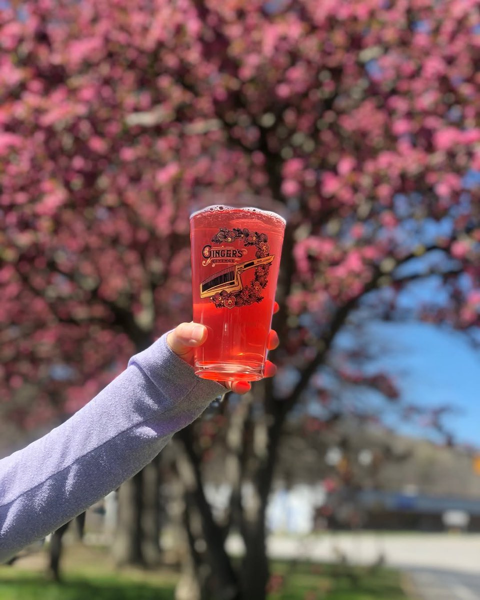 Brewery Spotlight: Ginger's Revenge 🍺 This unique brewery specializes in refreshing alcoholic ginger beer, which is naturally gluten-free. One of our favorite stops on our tours!