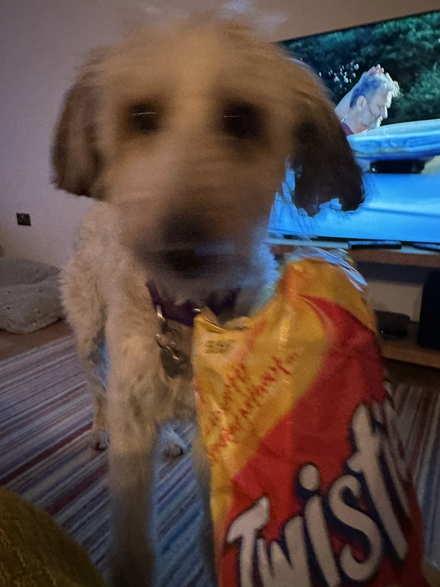 Hooomum is dat a new cheesy snack, me is super excited
